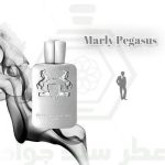 مارلی پگاسوس